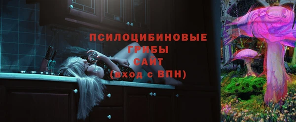 apvp Горнозаводск