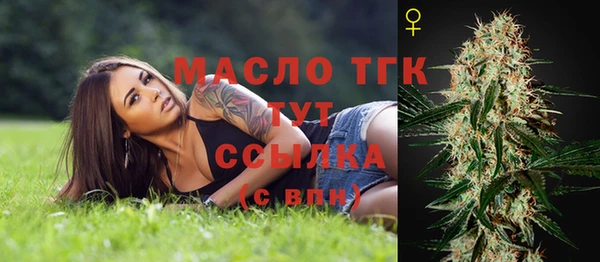 apvp Горнозаводск