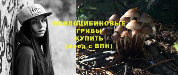 гашишное масло Горняк