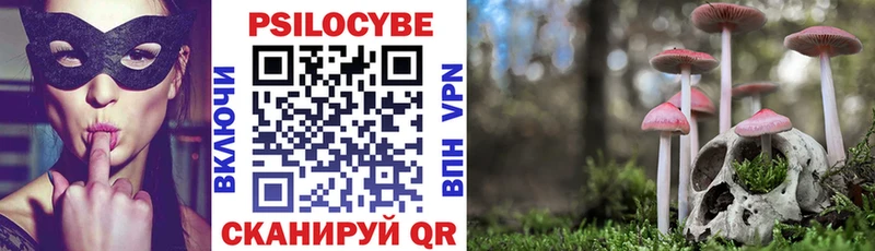 Галлюциногенные грибы Psilocybine cubensis Ногинск