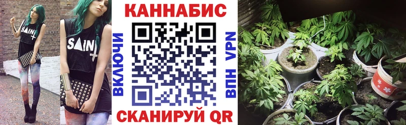 Шишки марихуана LSD WEED  Купить закладки  Ногинск 